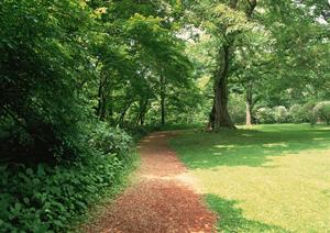研修でコミュニケーションを学ぶ