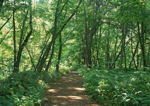 新宿の心療内科で夜驚症の相談をする