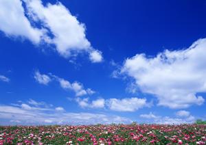 状態に応じて診察を行う大宮の心療内科
